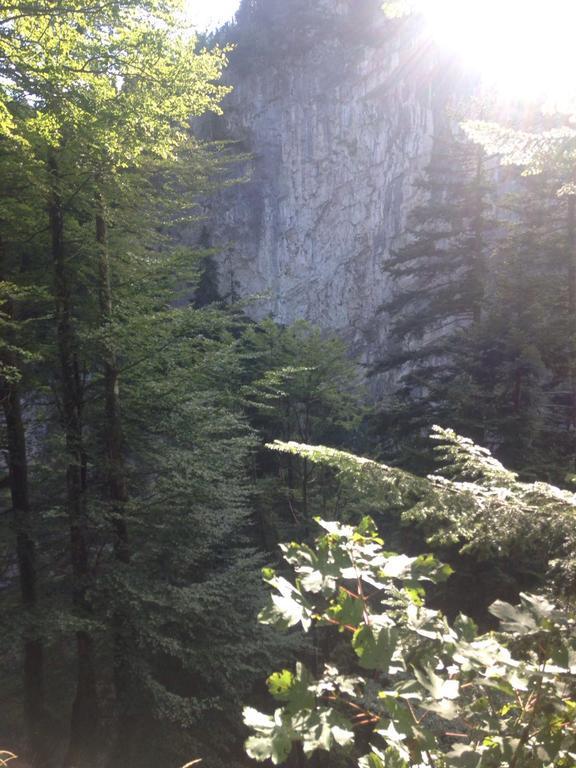 Landgasthof Hirschen Hohenems Esterno foto