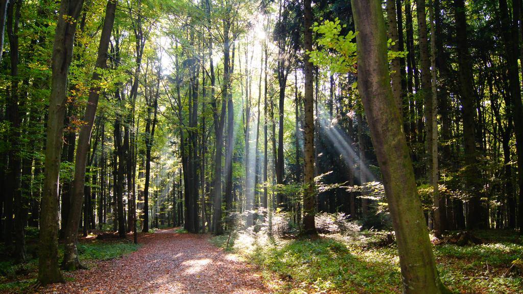Landgasthof Hirschen Hohenems Esterno foto